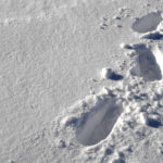 footprints in the snow alongside Reptile Ridge
