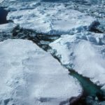 A close up of a snow covered slope.
