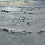 sea ice header