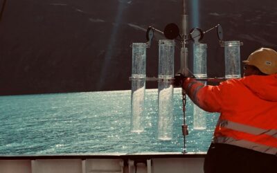 A person standing in front of a body of water